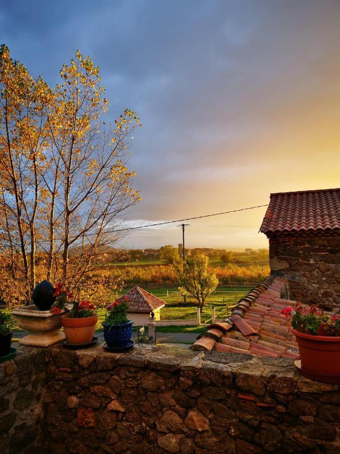 Ferme De La Combe Bed & Breakfast Saint-Jeure-d'Ay Ngoại thất bức ảnh